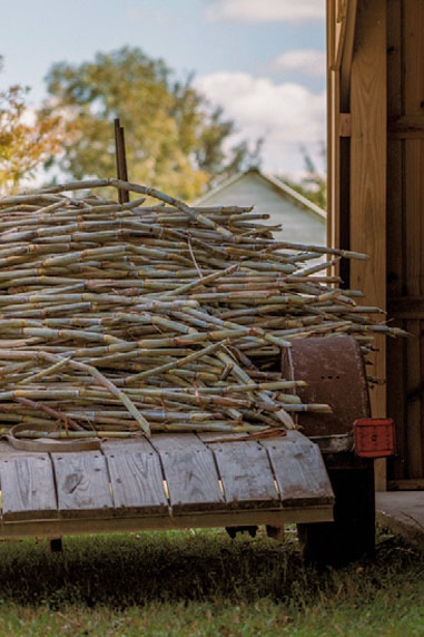 Truck bed with sugarcane